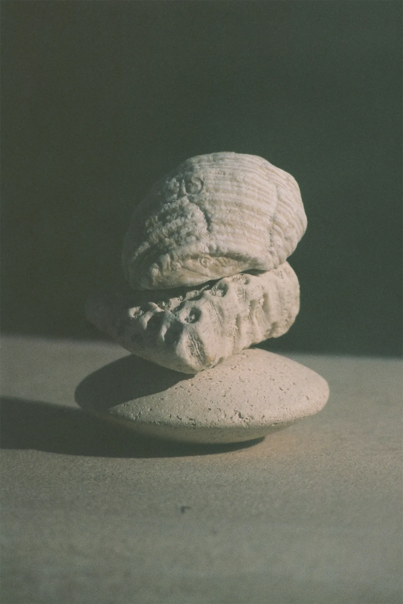 Nature Of Things Paradero by Marcel Boer 22 091 WEB