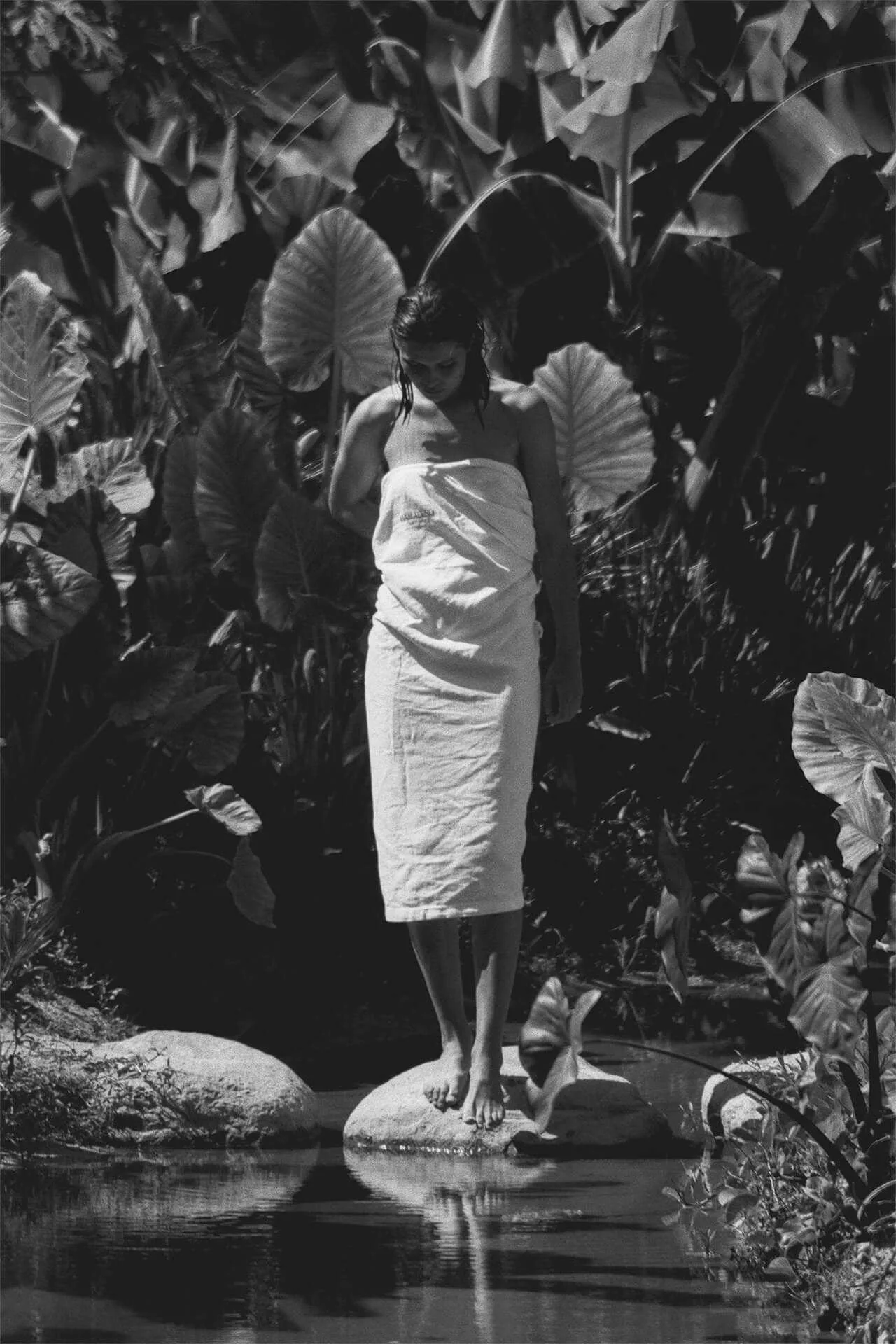 Nature Of Things Paradero by Marcel Boer 22 079 WEB