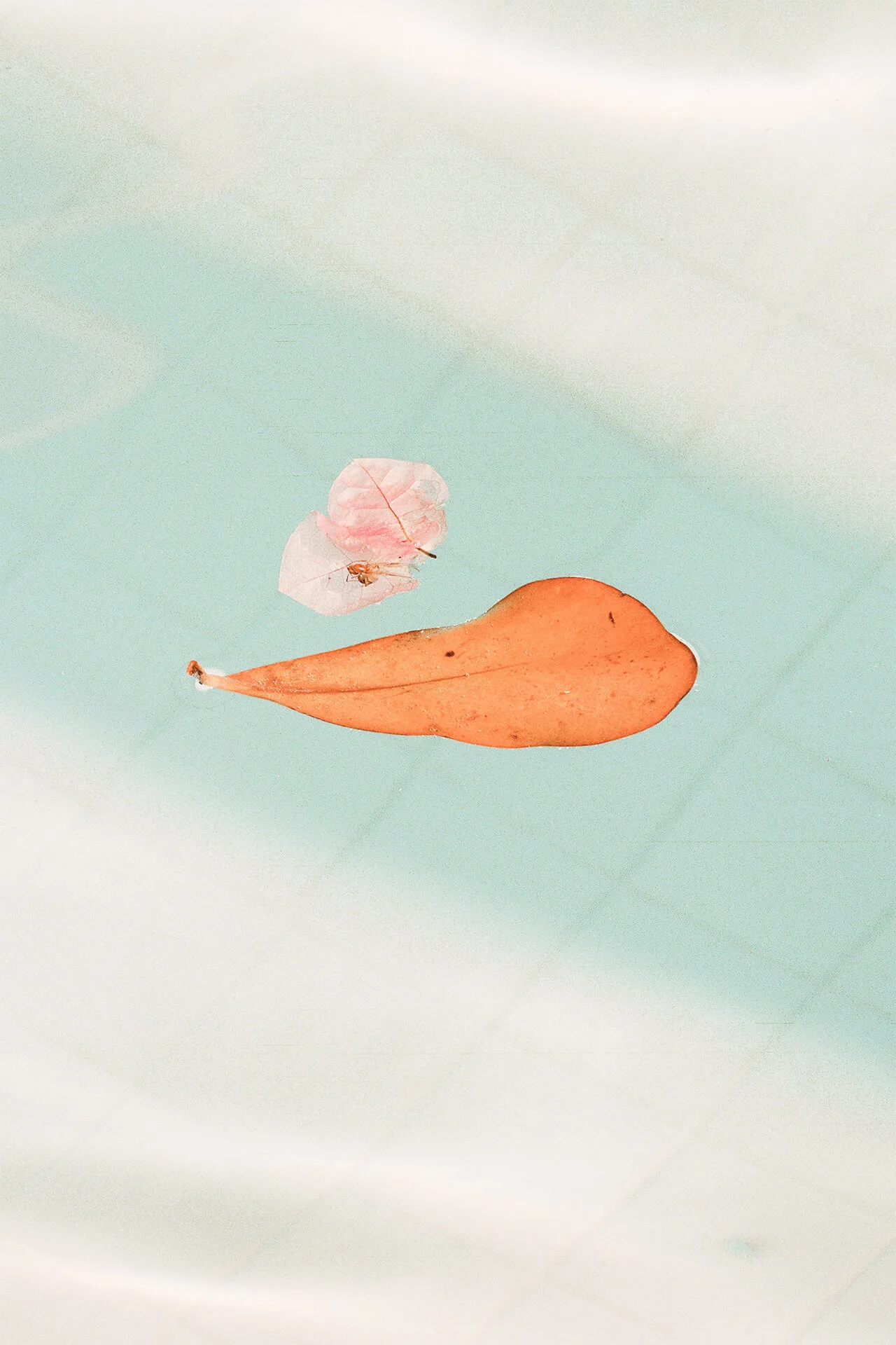 Nature Of Things Palm Heights by Marcel Boer 22 098 WEB