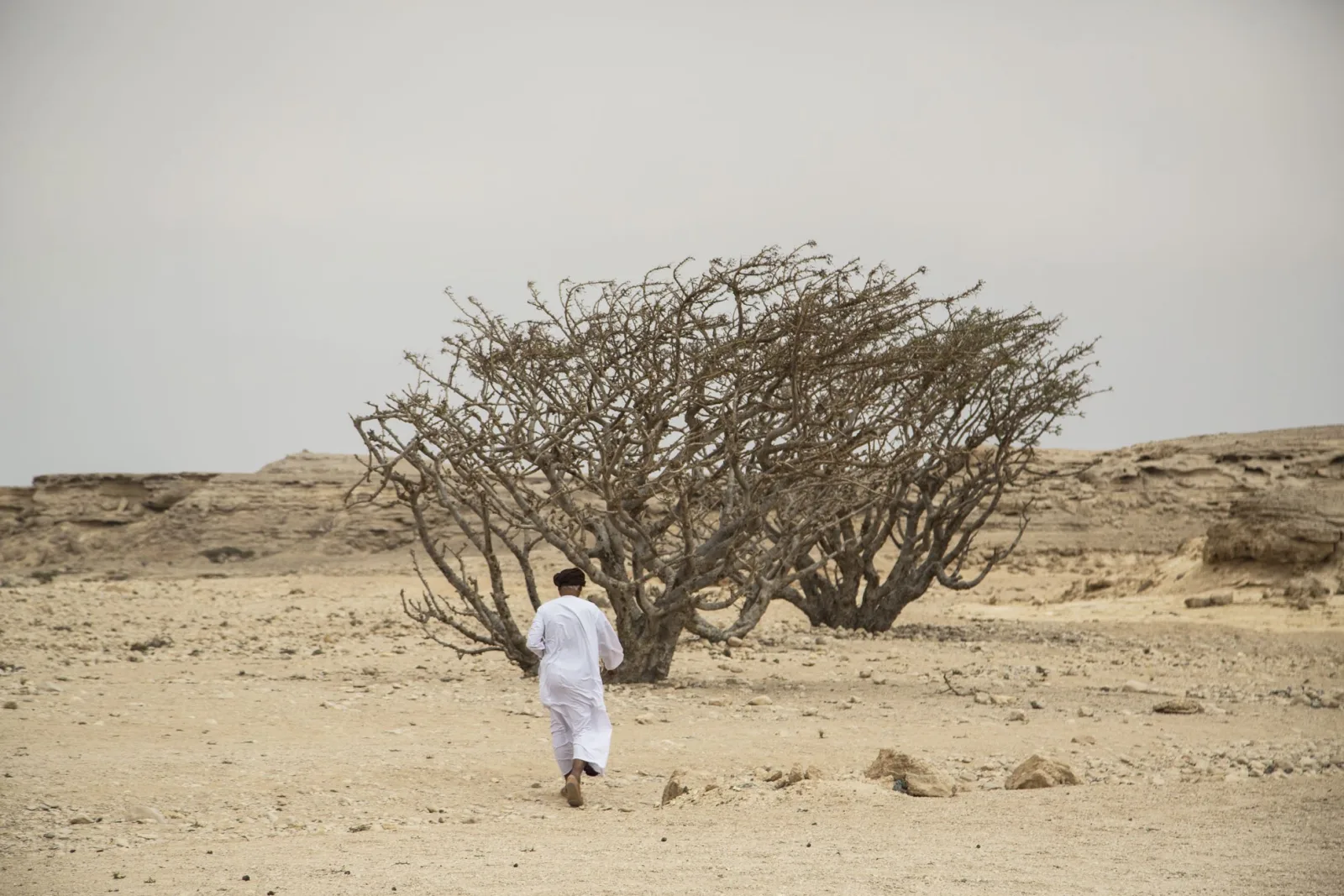 SO story oman artisanandtree